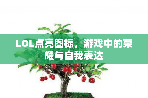 LOL点亮图标，游戏中的荣耀与自我表达