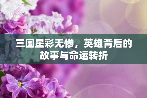 三国星彩无惨,英雄背后的故事与命运转折 三国星彩无惨,英雄背后的故事与命运转折