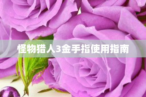 怪物猎人3金手指使用指南 怪物猎人3金手指使用指南