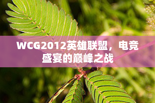 WCG2012英雄联盟,电竞盛宴的巅峰之战 WCG2012英雄联盟,电竞盛宴的巅峰之战