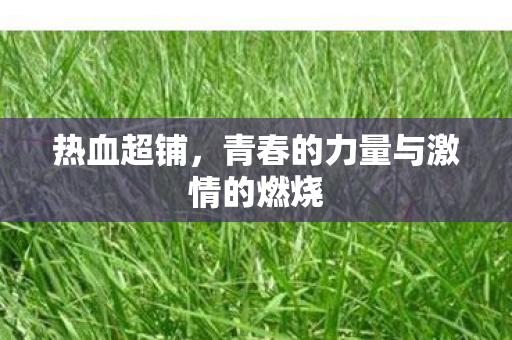 热血超铺，青春的力量与激情的燃烧