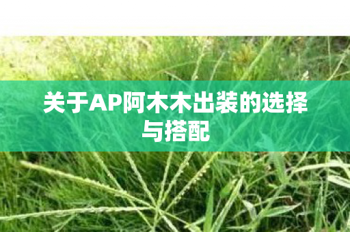 关于AP阿木木出装的选择与搭配