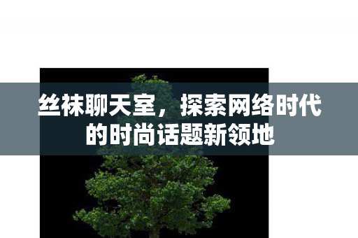 丝袜聊天室，探索网络时代的时尚话题新领地