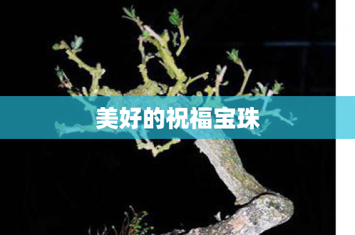 美好的祝福宝珠 美好的祝福宝珠