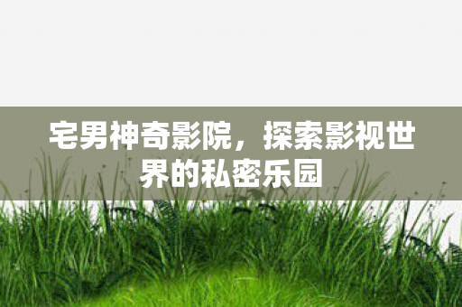 宅男神奇影院，探索影视世界的私密乐园