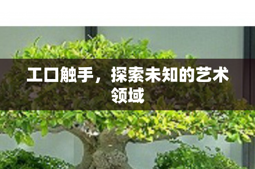 工口触手，探索未知的艺术领域