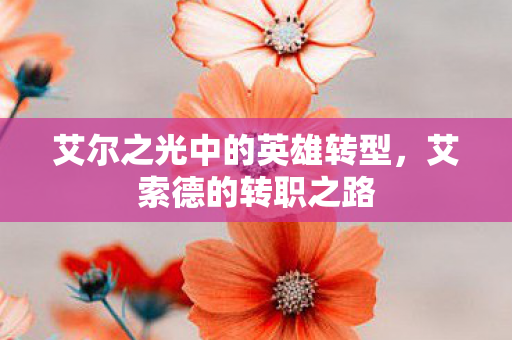 艾尔之光中的英雄转型,艾索德的转职之路 艾尔之光中的英雄转型,艾索德的转职之路