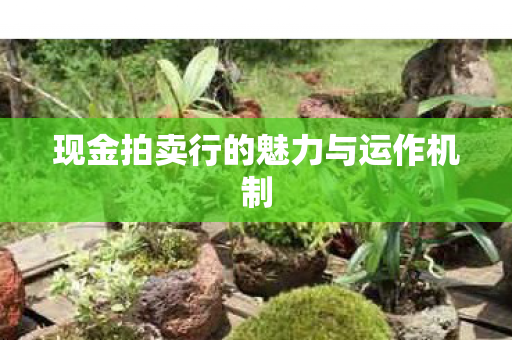 现金拍卖行的魅力与运作机制 现金拍卖行的魅力与运作机制