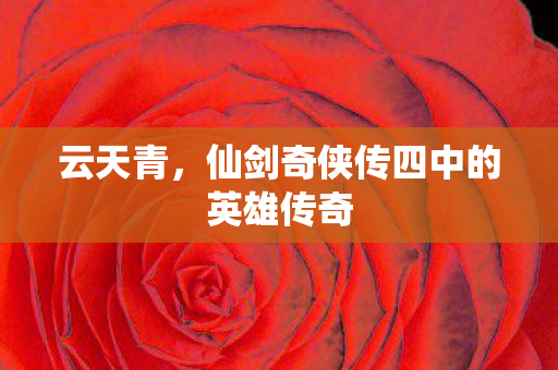 云天青，仙剑奇侠传四中的英雄传奇