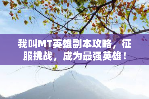 我叫MT英雄副本攻略，征服挑战，成为最强英雄！