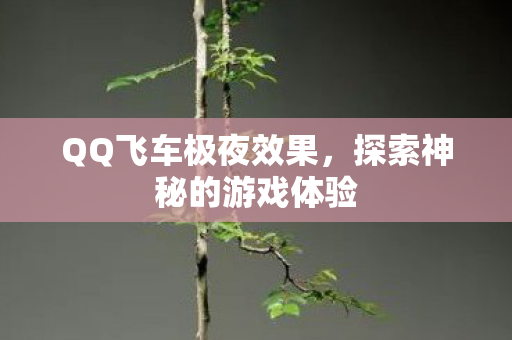 QQ飞车极夜效果，探索神秘的游戏体验