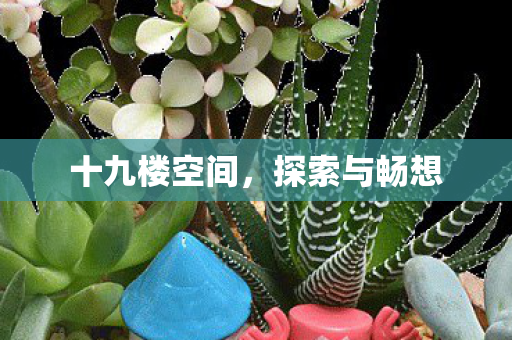 十九楼空间,探索与畅想 十九楼空间,探索与畅想