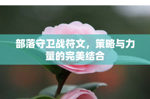 部落守卫战符文,策略与力量的完美结合 部落守卫战符文,策略与力量的完美结合