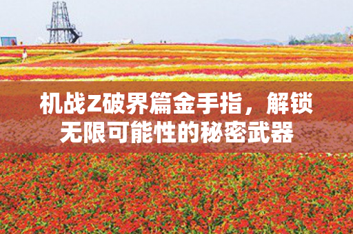 机战Z破界篇金手指，解锁无限可能性的秘密武器