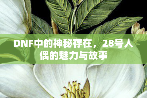 DNF中的神秘存在，28号人偶的魅力与故事