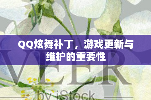 QQ炫舞补丁，游戏更新与维护的重要性