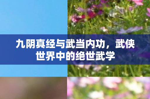 九阴真经与武当内功,武侠世界中的绝世武学 九阴真经与武当内功,武侠世界中的绝世武学
