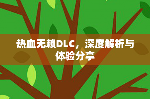 热血无赖DLC，深度解析与体验分享