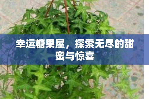 幸运糖果屋，探索无尽的甜蜜与惊喜