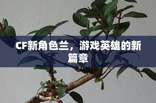 CF新角色兰，游戏英雄的新篇章