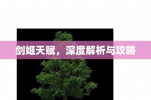 剑姬天赋，深度解析与攻略