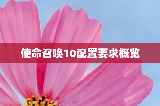 使命召唤10配置要求概览