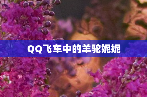 QQ飞车中的羊驼妮妮