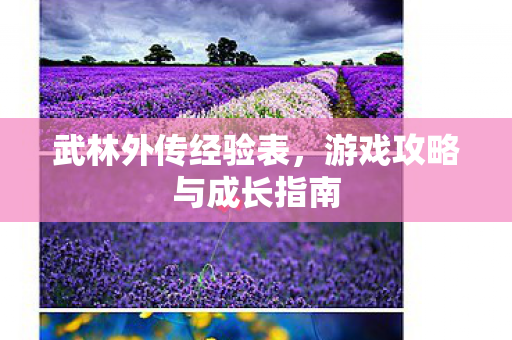武林外传经验表,游戏攻略与成长指南 武林外传经验表,游戏攻略与成长指南