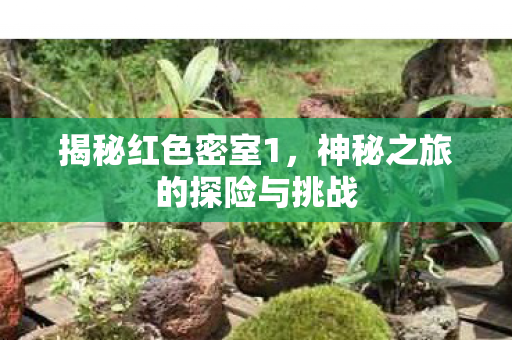揭秘红色密室1,神秘之旅的探险与挑战 揭秘红色密室1,神秘之旅的探险与挑战