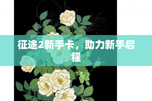 征途2新手卡，助力新手启程