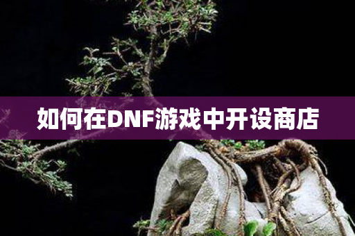 如何在DNF游戏中开设商店 如何在DNF游戏中开设商店