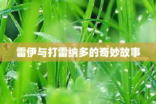 雷伊与打雷纳多的奇妙故事