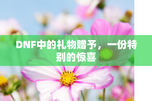 DNF中的礼物赠予，一份特别的惊喜