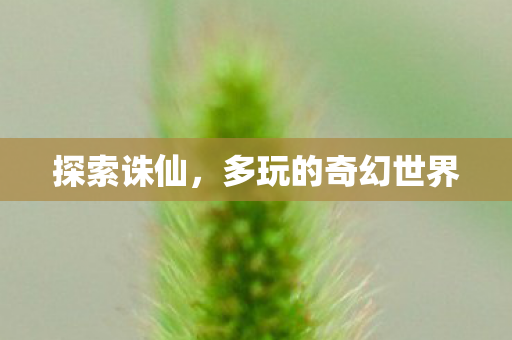 探索诛仙，多玩的奇幻世界