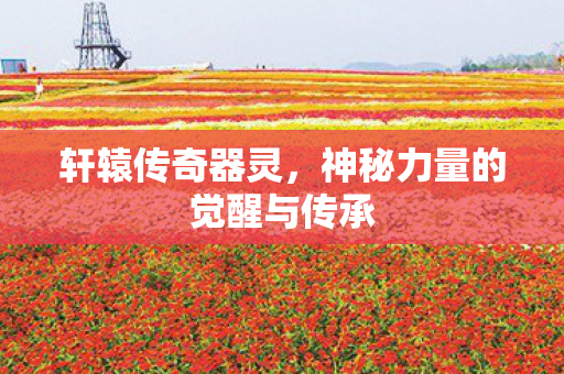 轩辕传奇器灵，神秘力量的觉醒与传承