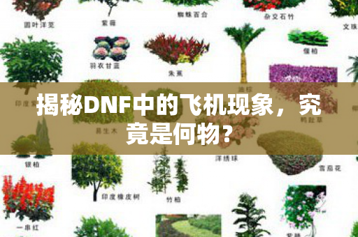 揭秘DNF中的飞机现象,究竟是何物? 揭秘DNF中的飞机现象,究竟是何物?