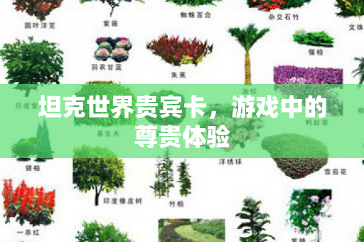 坦克世界贵宾卡,游戏中的尊贵体验 坦克世界贵宾卡,游戏中的尊贵体验