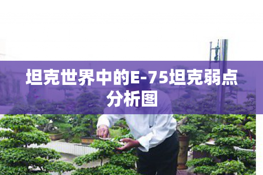 坦克世界中的E-75坦克弱点分析图 坦克世界中的E-75坦克弱点分析图