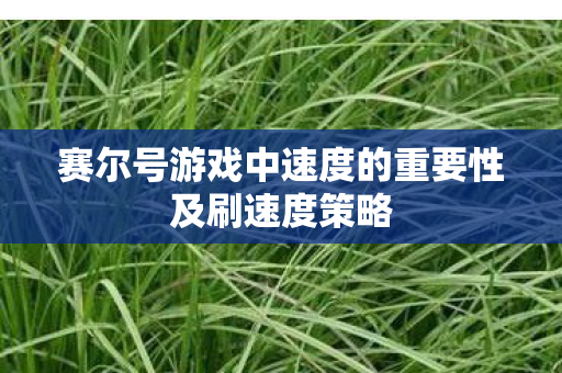 赛尔号游戏中速度的重要性及刷速度策略