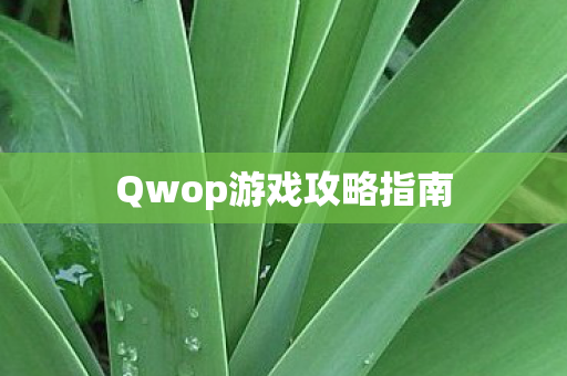 Qwop游戏攻略指南