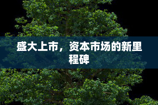 盛大上市，资本市场的新里程碑