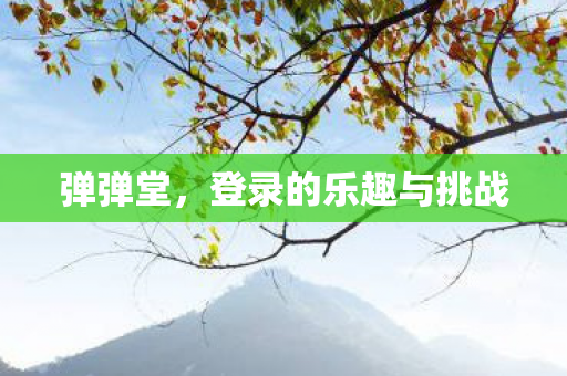 弹弹堂，登录的乐趣与挑战