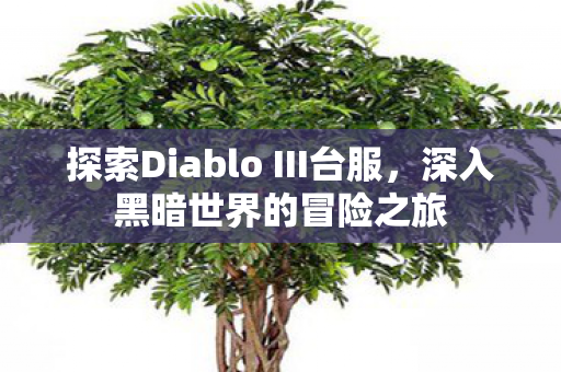 探索Diablo III台服，深入黑暗世界的冒险之旅