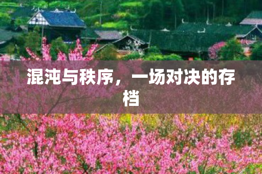 混沌与秩序，一场对决的存档