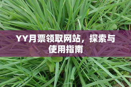 YY月票领取网站，探索与使用指南