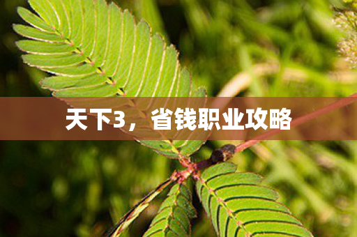 天下3，省钱职业攻略