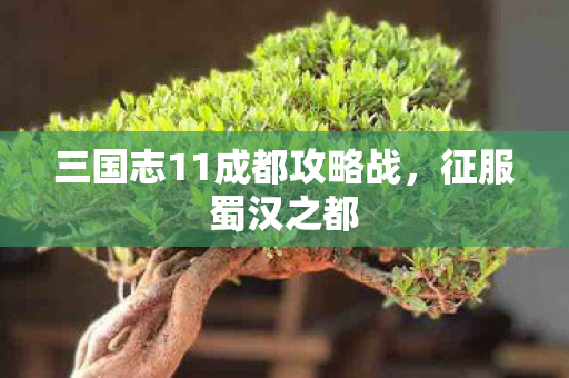 三国志11成都攻略战，征服蜀汉之都