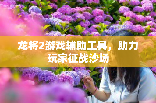 龙将2游戏辅助工具，助力玩家征战沙场