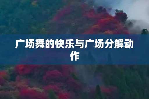 广场舞的快乐与广场分解动作