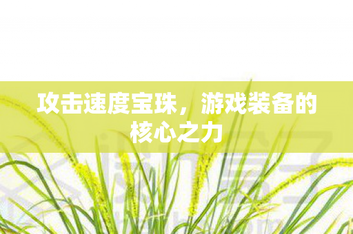 攻击速度宝珠，游戏装备的核心之力